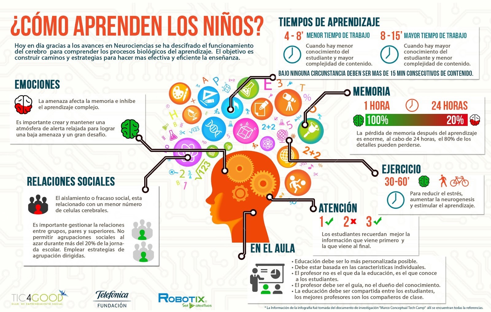 Neurociencia Y Educación, Los Ingredientes Para Construir Un Puente De ...